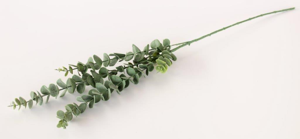 Dark Green Eucalyptus Stem